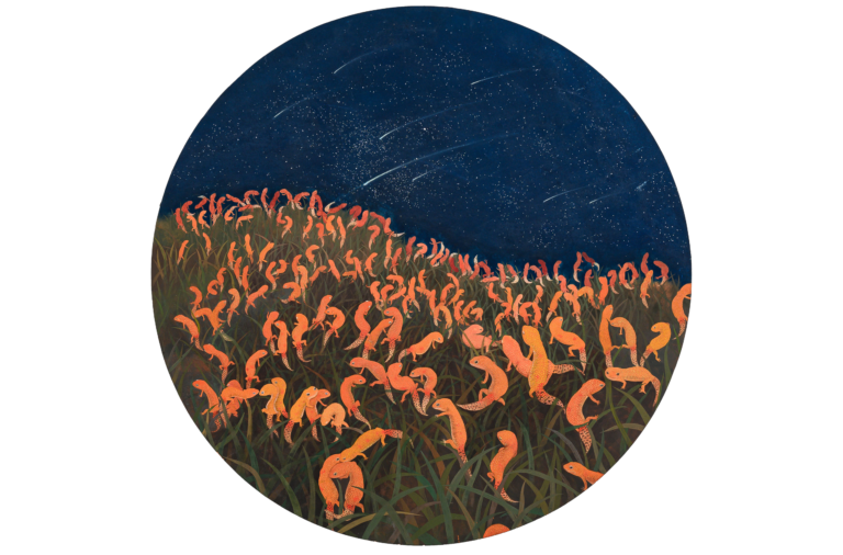 夜行者 90x90cm 2022 夜行者 90x90cm 2022