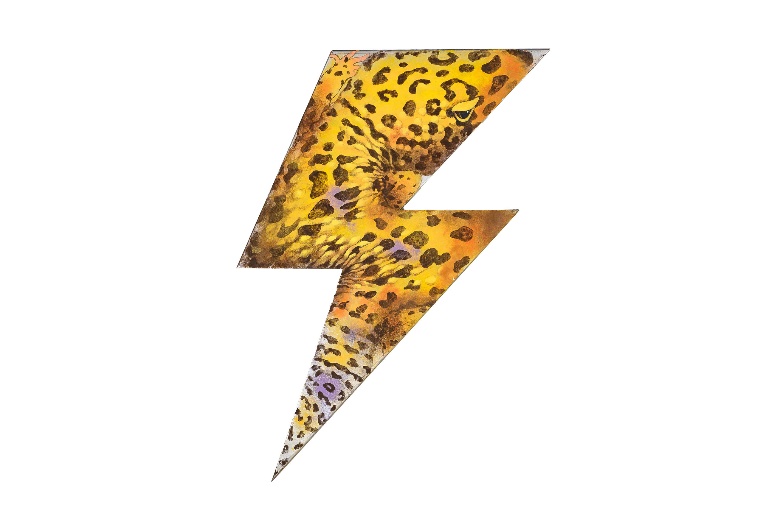 Flash